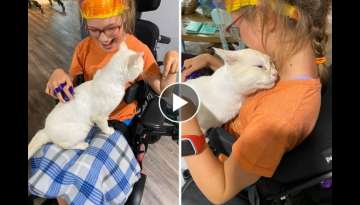 Cat Hops Onto Lap of Girl in Wheelchair and Chooses Her to Be Family